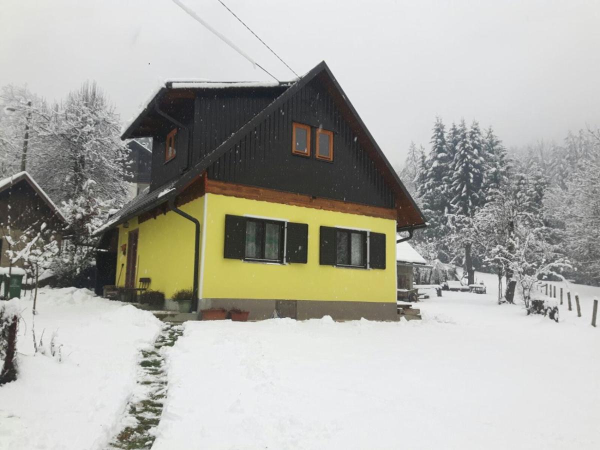 Kuca Za Odmor Forest Dream U Blizini Rijeke Kupe Plesce Buitenkant foto