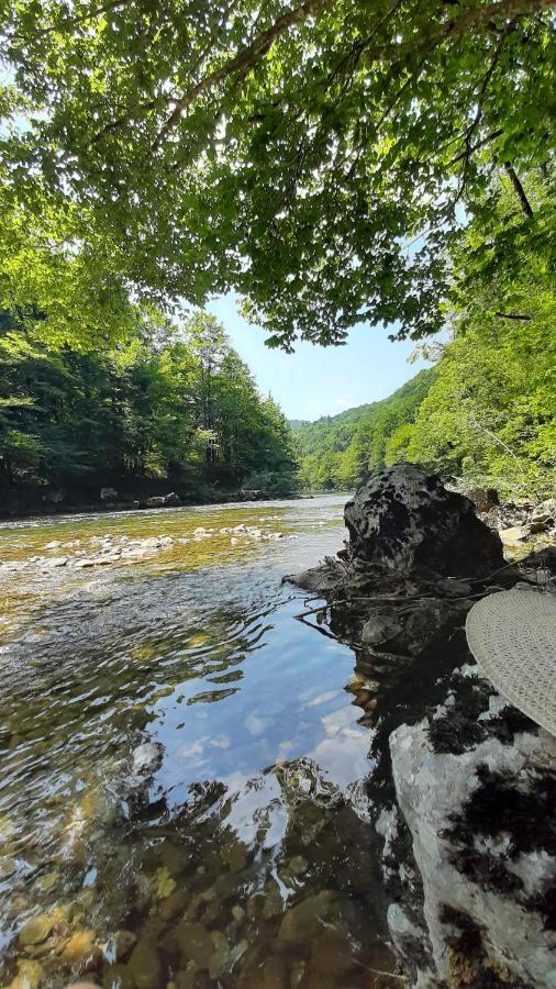 Kuca Za Odmor Forest Dream U Blizini Rijeke Kupe Plesce Buitenkant foto