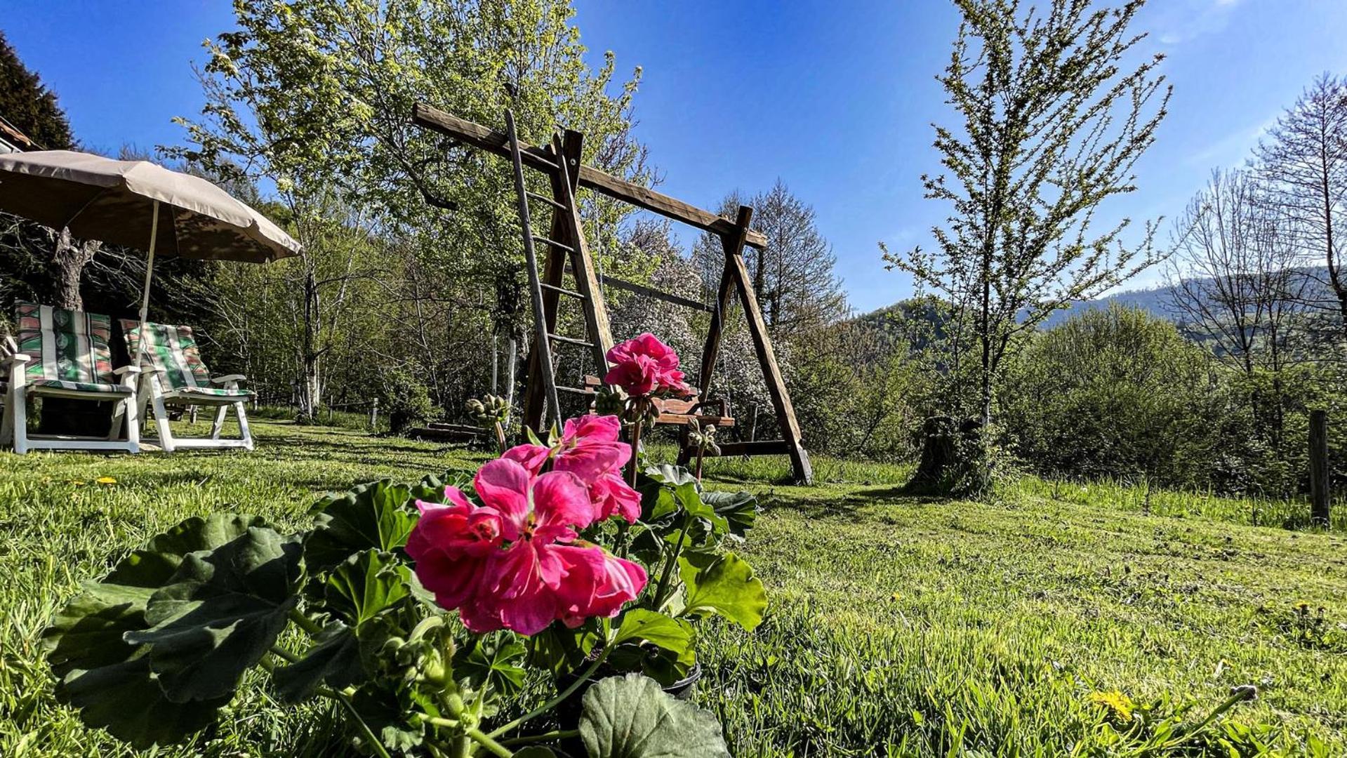 Kuca Za Odmor Forest Dream U Blizini Rijeke Kupe Plesce Buitenkant foto
