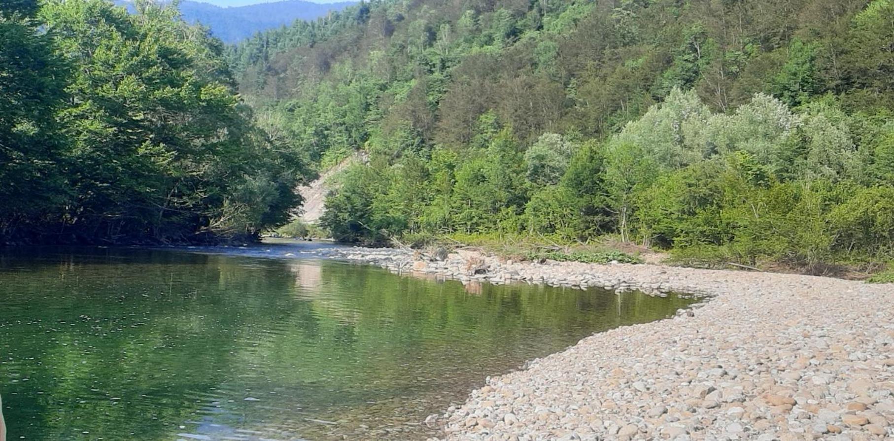 Kuca Za Odmor Forest Dream U Blizini Rijeke Kupe Plesce Buitenkant foto
